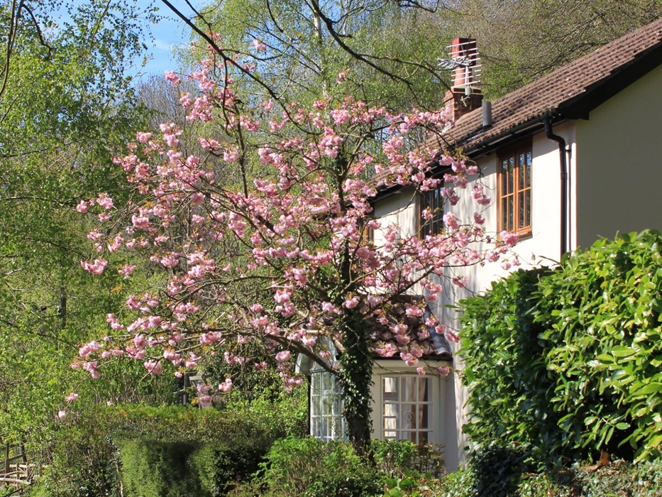 Spring cottage