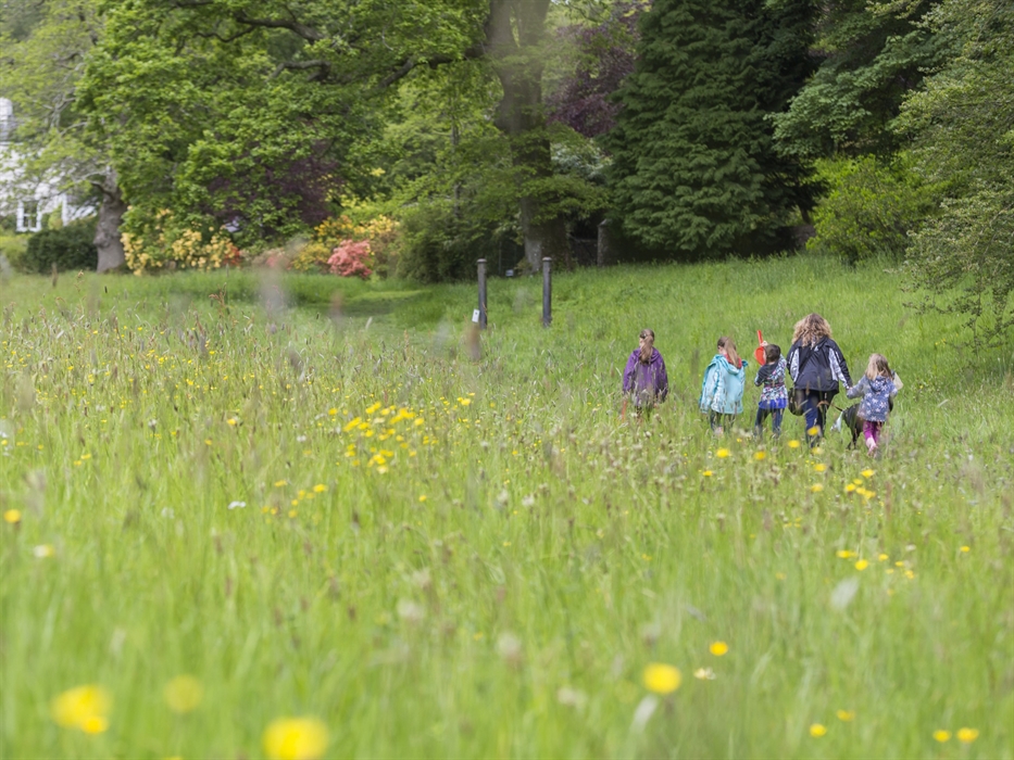 Celebrate St David’s Day with us at Colby Woodland Garden