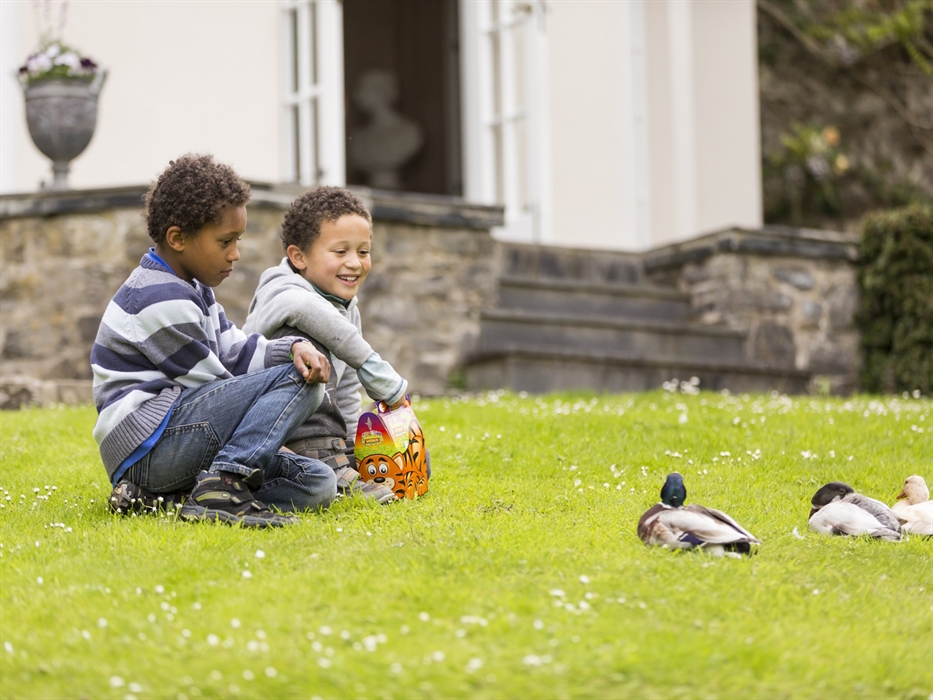 Celebrate St David’s Day with us at Colby Woodland Garden
