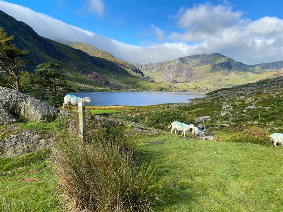Snowdonia Slate Trail