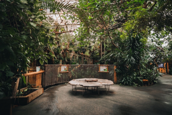 A view from inside Plantasia Tropical Zoo with a wooden flower-shaped sitting area in front of the pond barrier, surrounded by large trees and plants