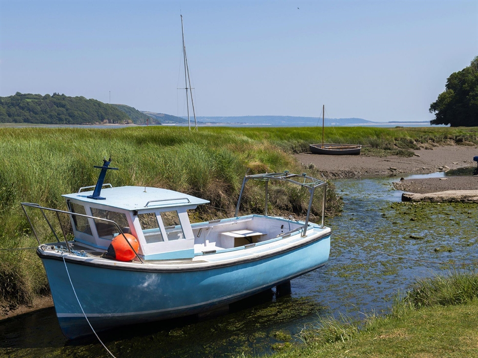 The Cors Country House