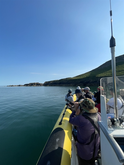 Worm's Head Causeway, Rhossili