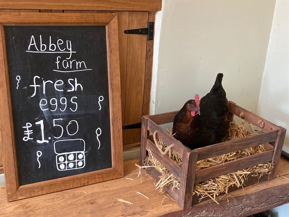 Abbey Farm Caravan & Camping Pods