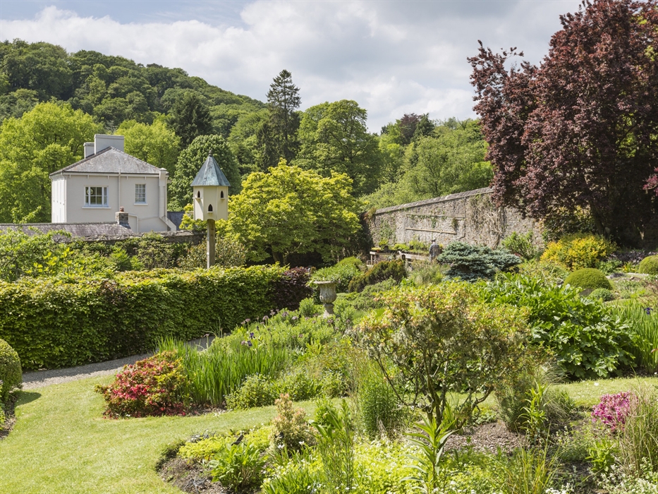 Celebrate St David’s Day with us at Colby Woodland Garden