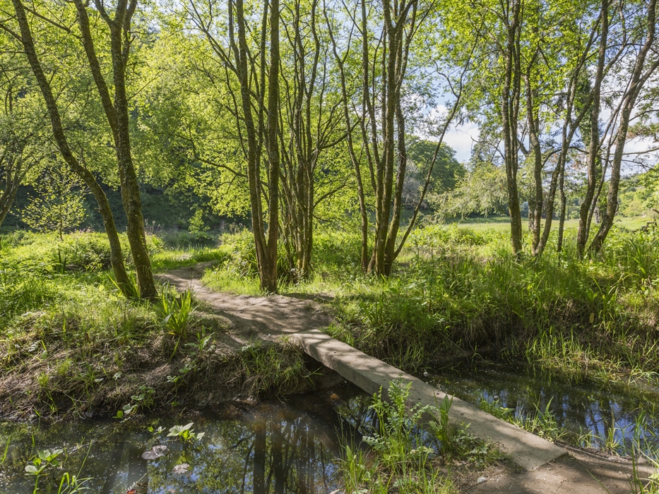 Celebrate St David’s Day with us at Colby Woodland Garden