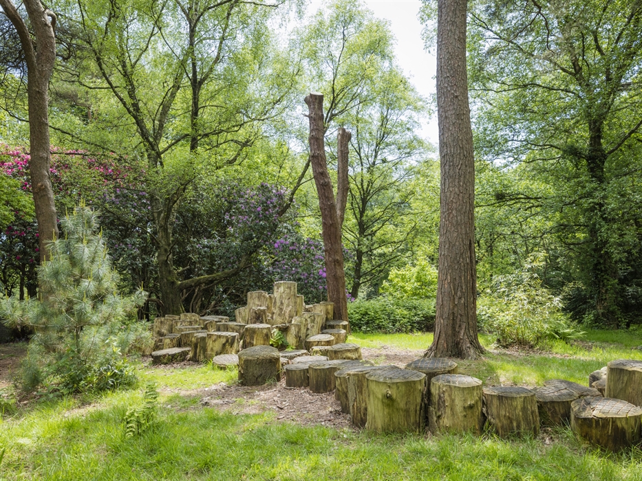 Celebrate St David’s Day with us at Colby Woodland Garden