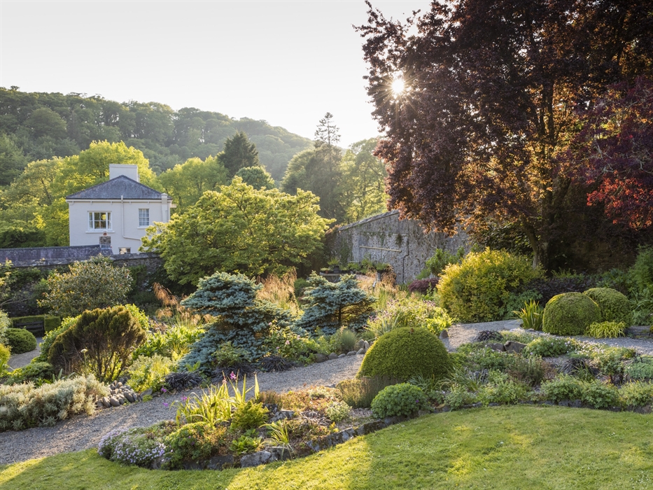 Celebrate St David’s Day with us at Colby Woodland Garden