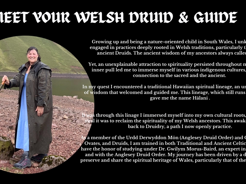 Welsh Druid