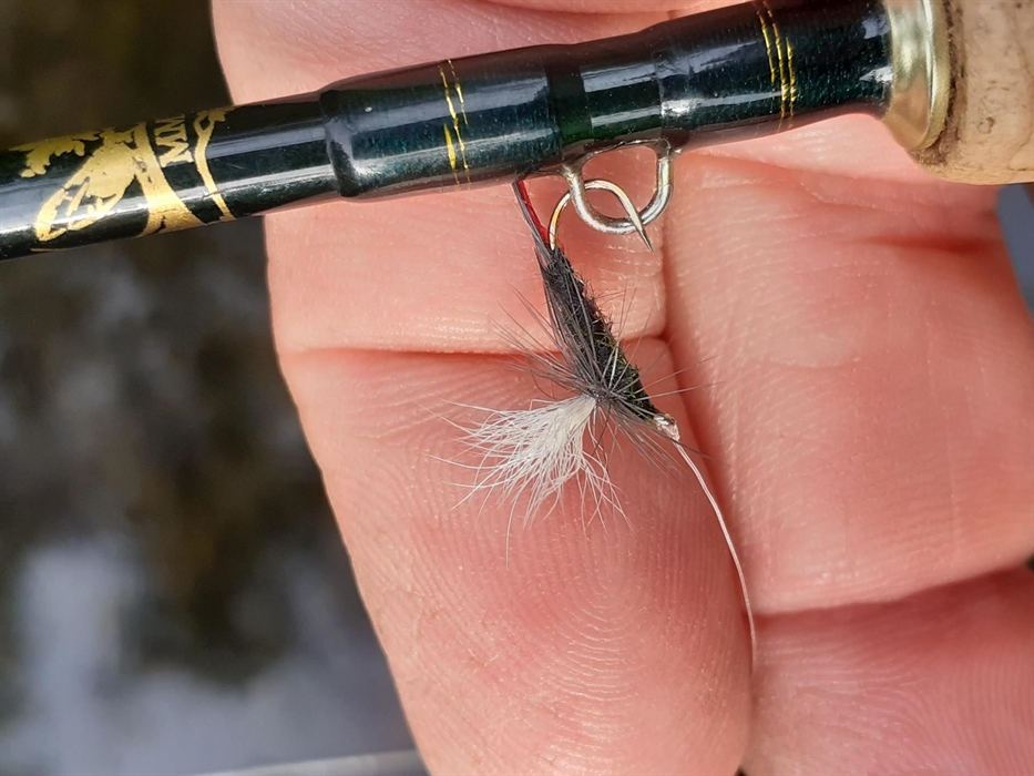 Works very well on the River Arrow at the right time ....as does an Adams and during a good mayfly harch a crippled may is excellent on all beats of t
