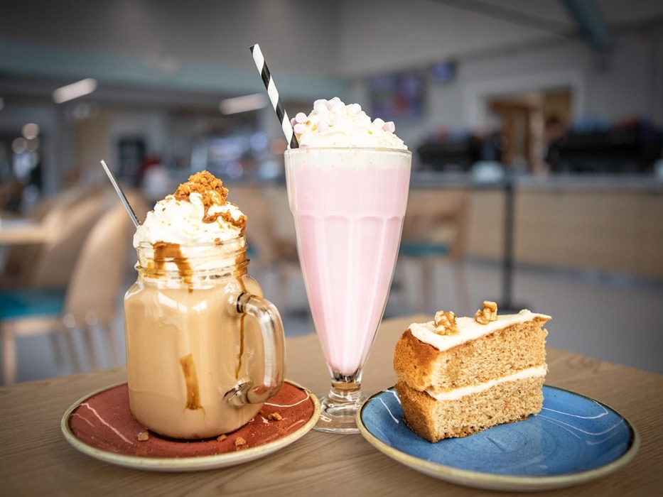 Llys-y-frân Lake & Visitor Centre