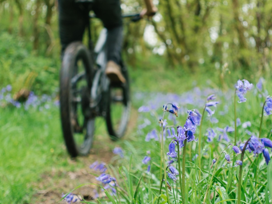 Hidden Routes New Year New You Festive Ride