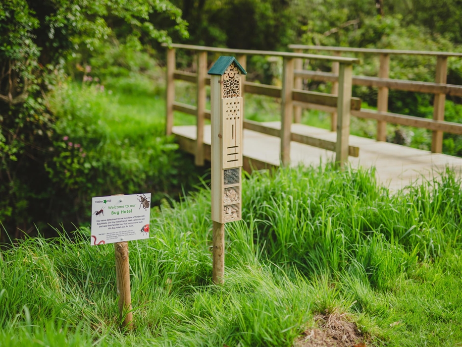 Experience the hum of nature at the bee hotel, a delightful sight amidst Timber Hill’s scenic landscape.