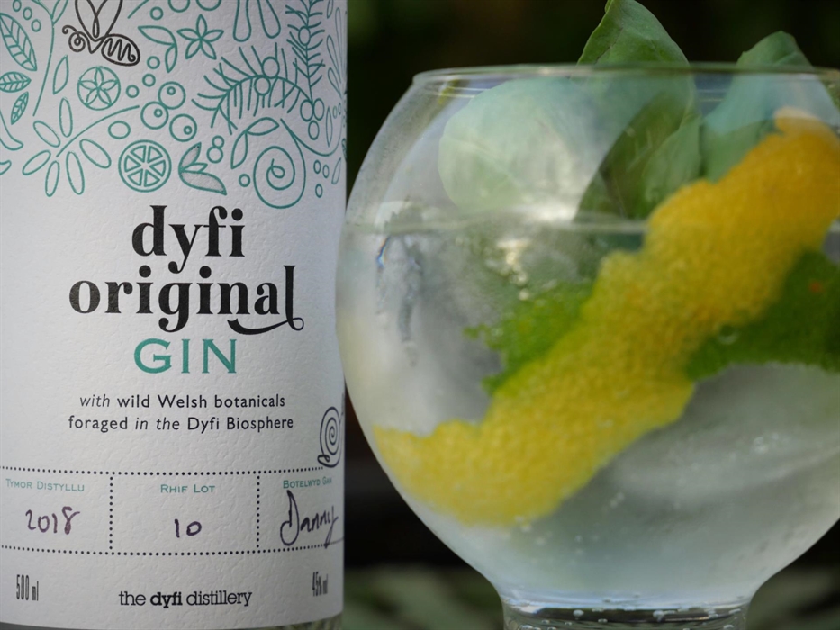 Dyfi Original Gin