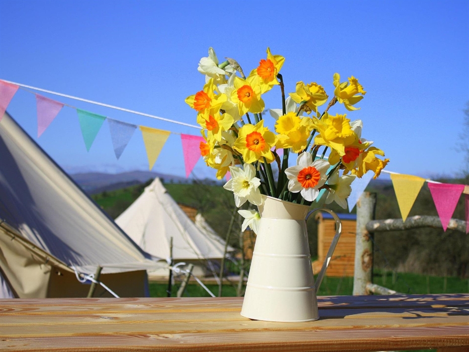 The whole site can be booked out for events