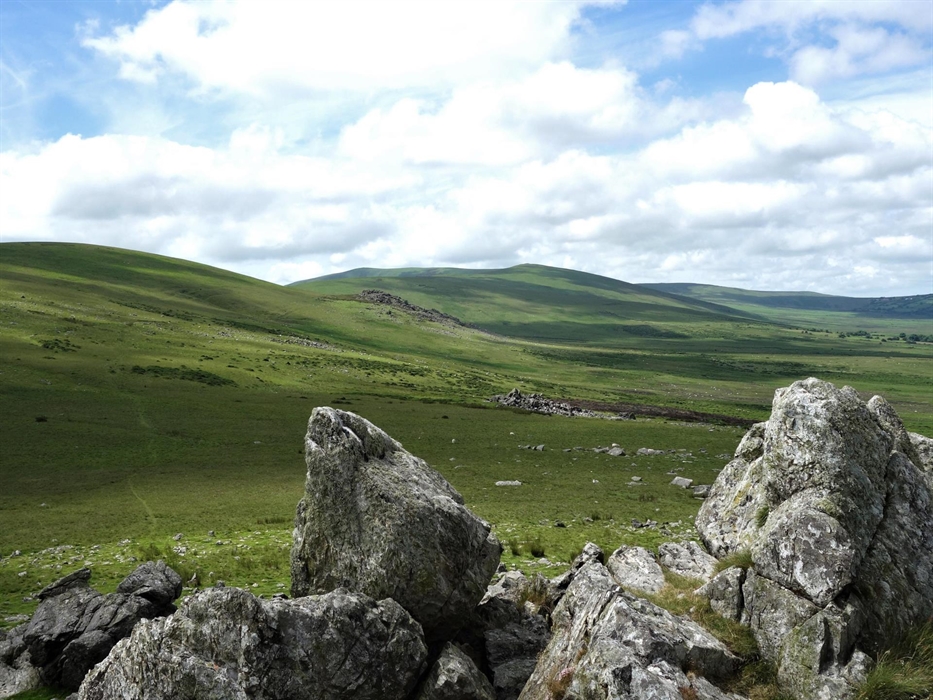 You can walk into the Preseli Hills from the cottages. King Arthur fought the giant boar in these hills; Neolithic man carved out the Stonehenge blues