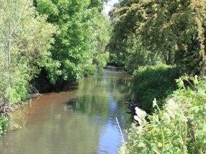 Rossett and Gresford Flyfishers Club