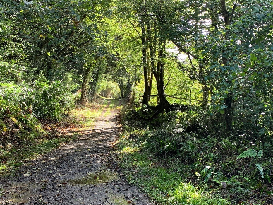 Quiet reflective scenery for pilgrimage in Pembrokeshire