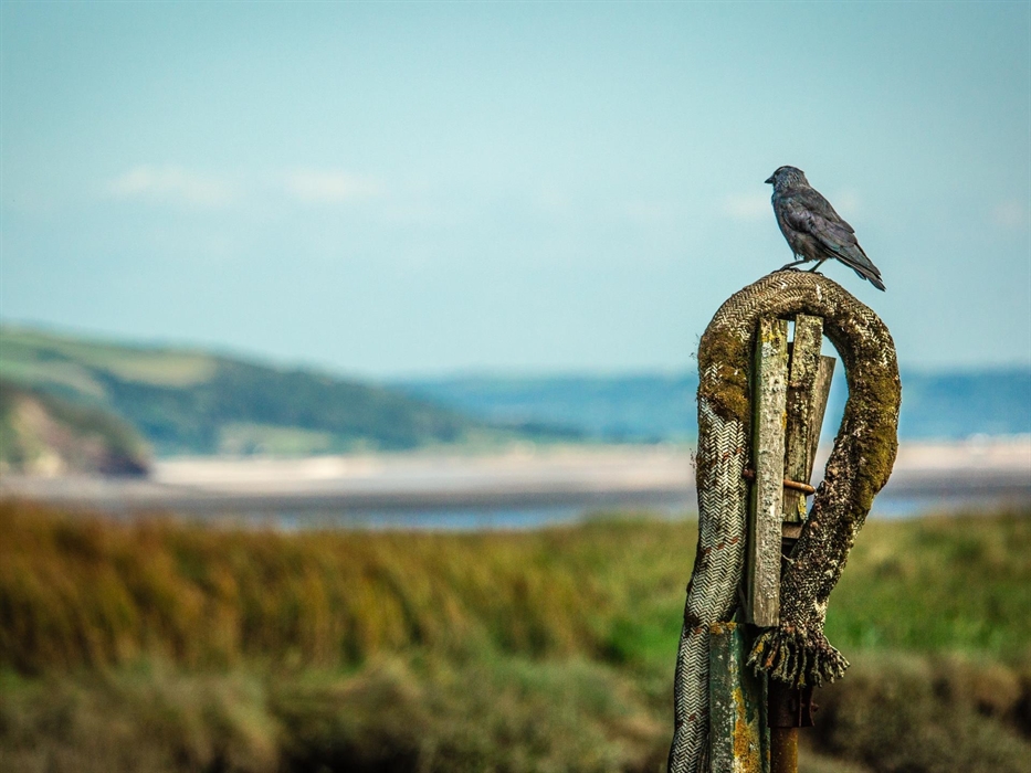 Wales Coast Path - Gower & Swansea Bay