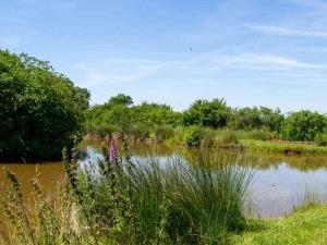 Pen-Y-Clawdd Farm Fishery