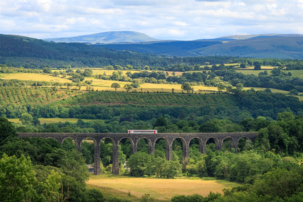 A train passing over a viaduct with mountains in the distance.