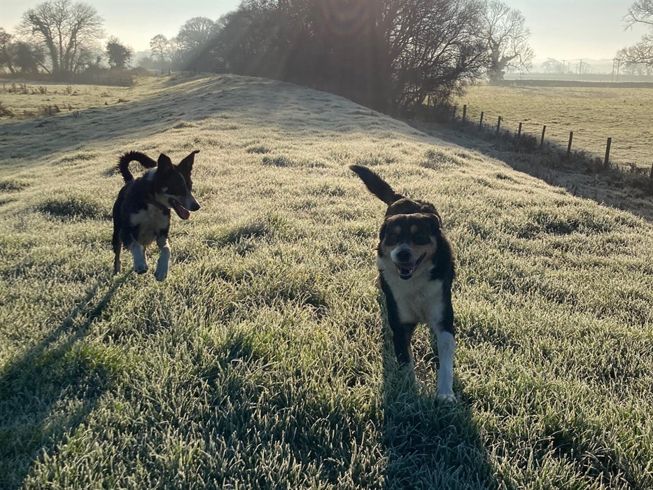 Abbey Farm Caravan & Camping Pods