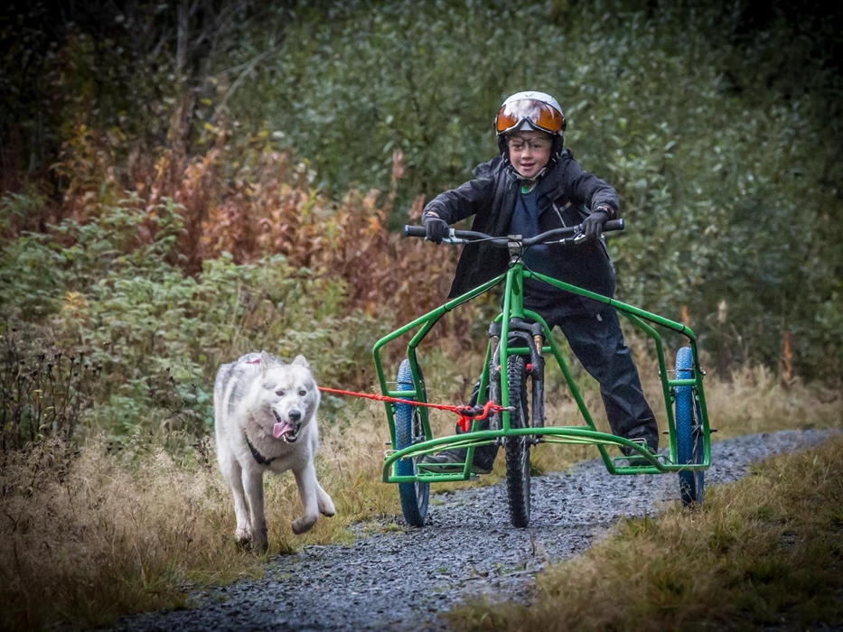 Intro to Mushing - Kids