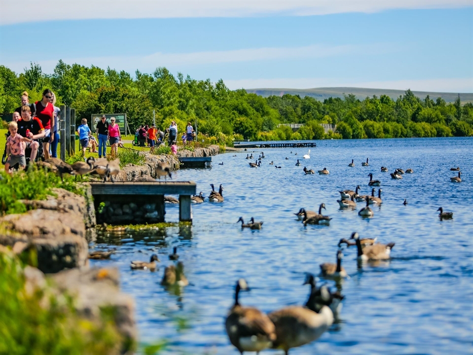 There's plenty of wildlife around the park and you can enjoy feeding the ducks on the lake.