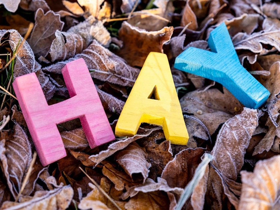 Image Credit: Hay Festival