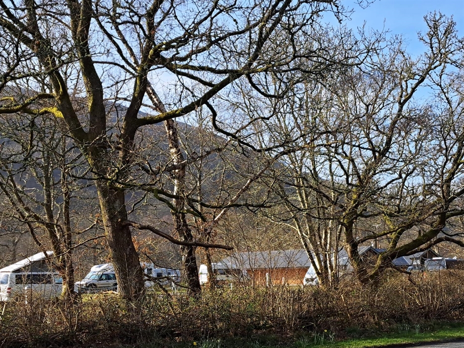 view from cycle path of site