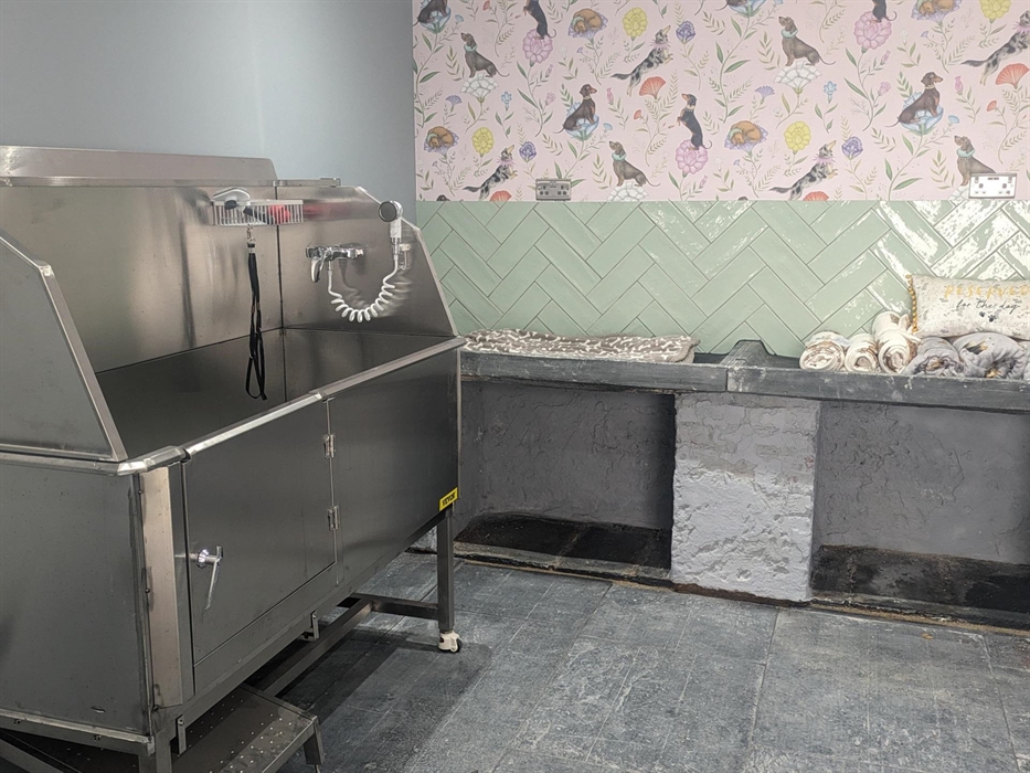 Dog Groom Room