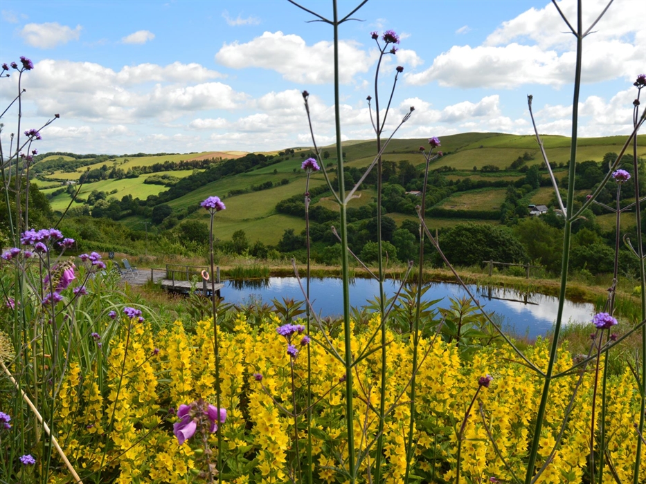 Gardens and spring fed swimming pond