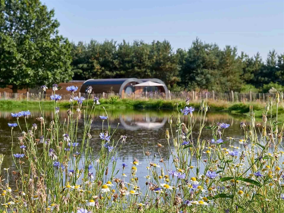 mercury cabin, overlooking the wildlife pond