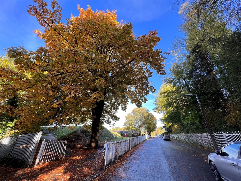 There is ample parking is to the road outside of Ty Bunc, in a central yet quiet area of Merthyr Tydfil and is adjacent to two popular local parks, id
