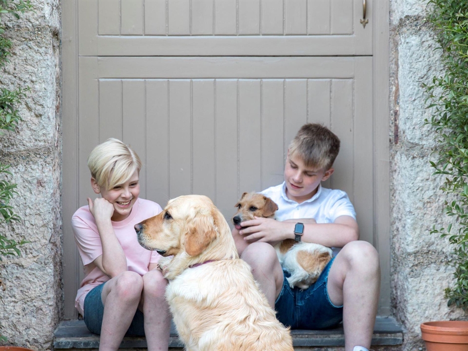 Dogs are welcome in many of our dog friendly cottages