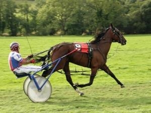 Lampeter harness races 2014