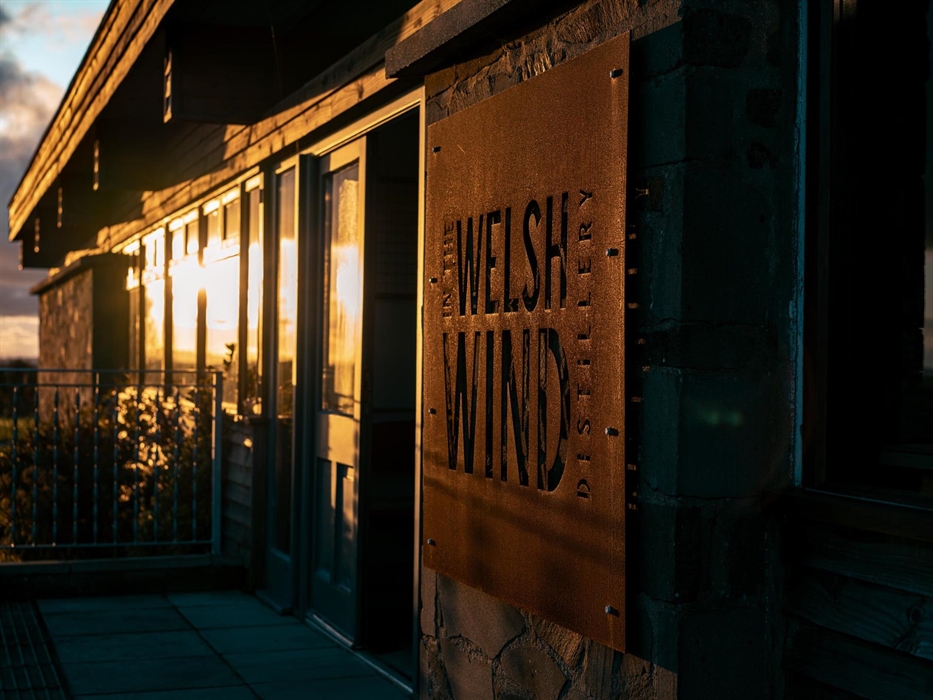 In the Welsh Wind in the copper glow of sunset