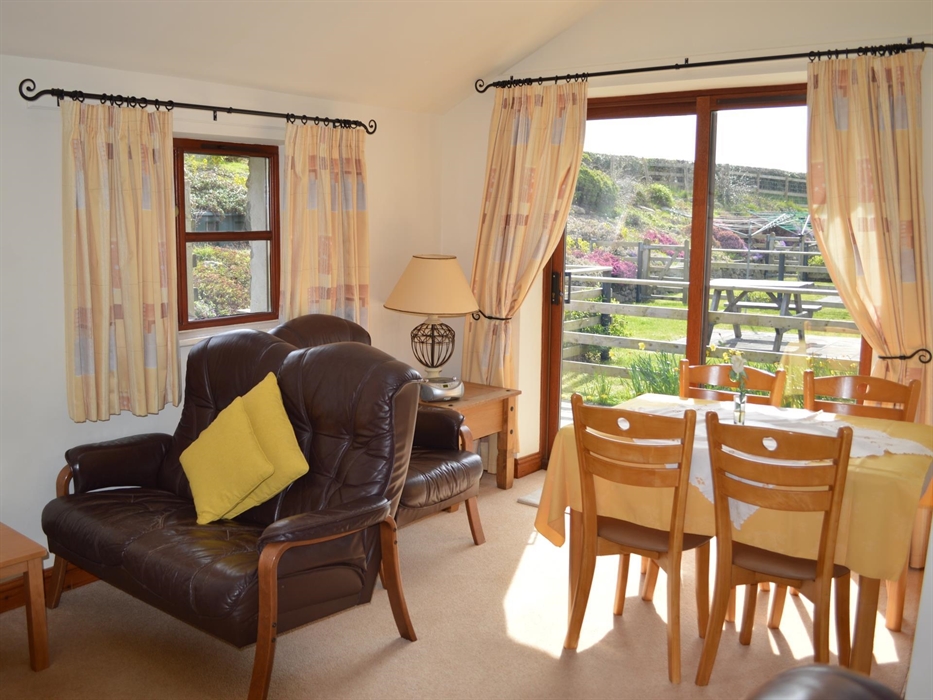 Talyllyn Cottage - Hendy