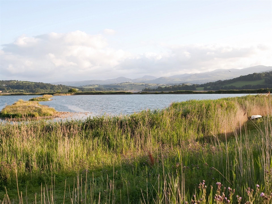 Image Credit: Eleanor Bentall