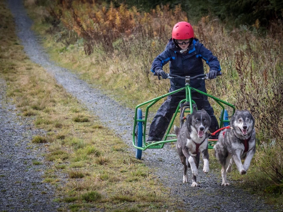 Intro to Mushing - Kids