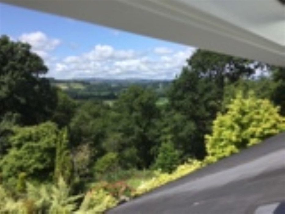 A Room with a View Dwynant