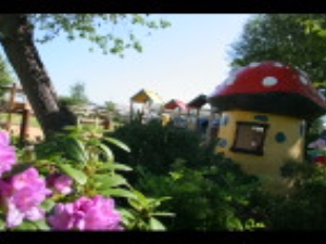 Silver Birch Play Area