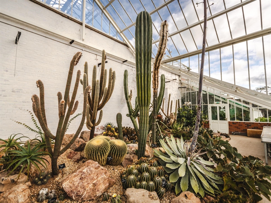 Visit the Cacti collection and tropical Glass House at Dyffryn Gardens, Vale of Glamorgan
