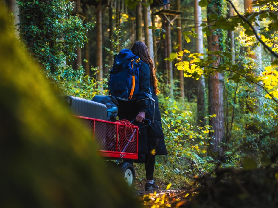 Make your way through the forest to your lodge