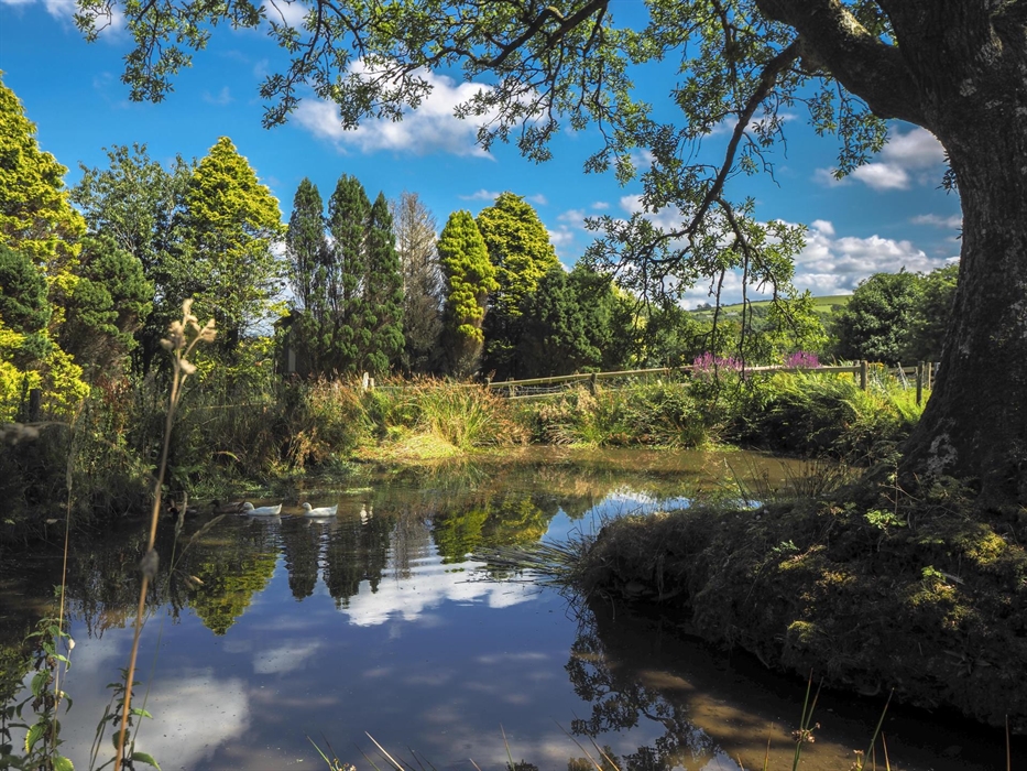 Blaencwm Views and duckpond