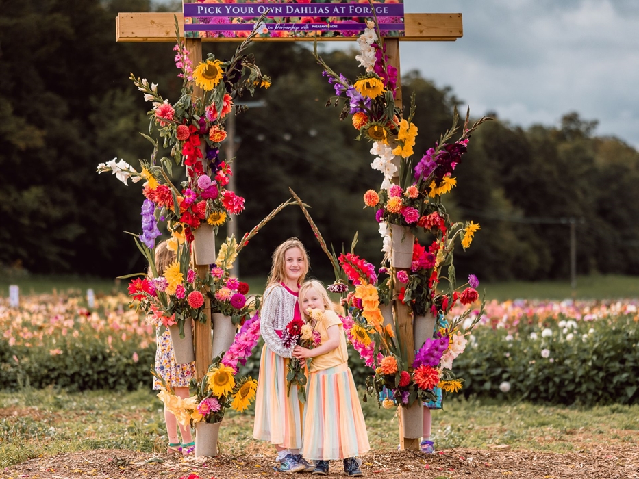 Forage_PYO_Flower_Field_Arch