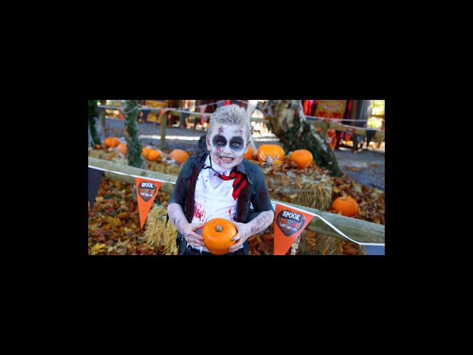 SpookWood