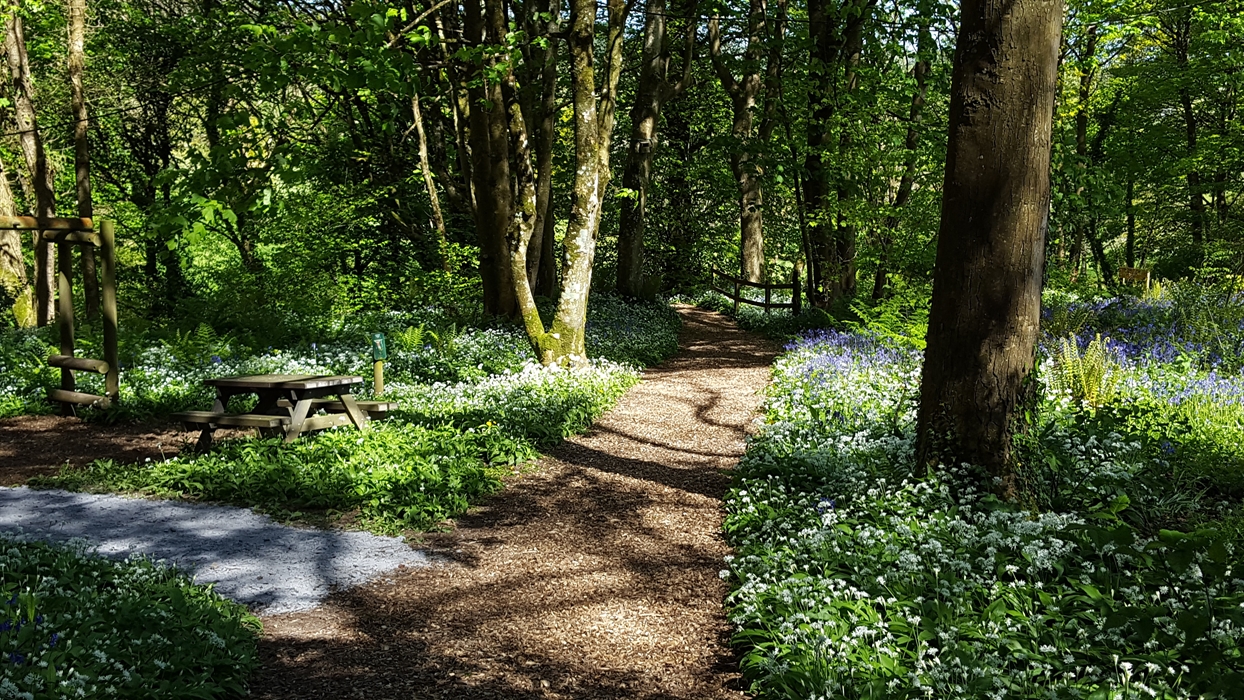 Nearby red squirrel woodlands and picnic spots