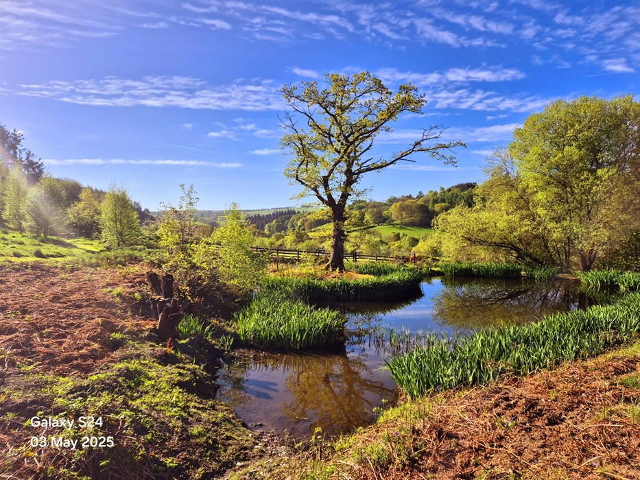 A photo of a woman relaxing on holiday, sat out on a sun lounger reading a magazine overlooking the Clywedog Valley.