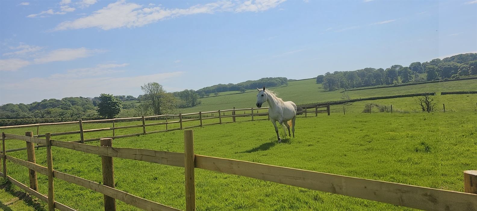Redford Caravan Park